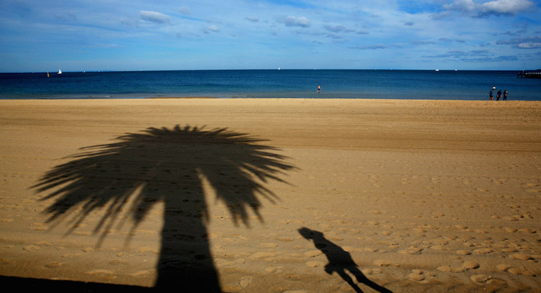 beach with palm tree shadow
