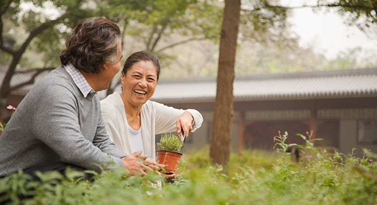 Elderly couple gardening