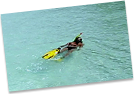 holiday image